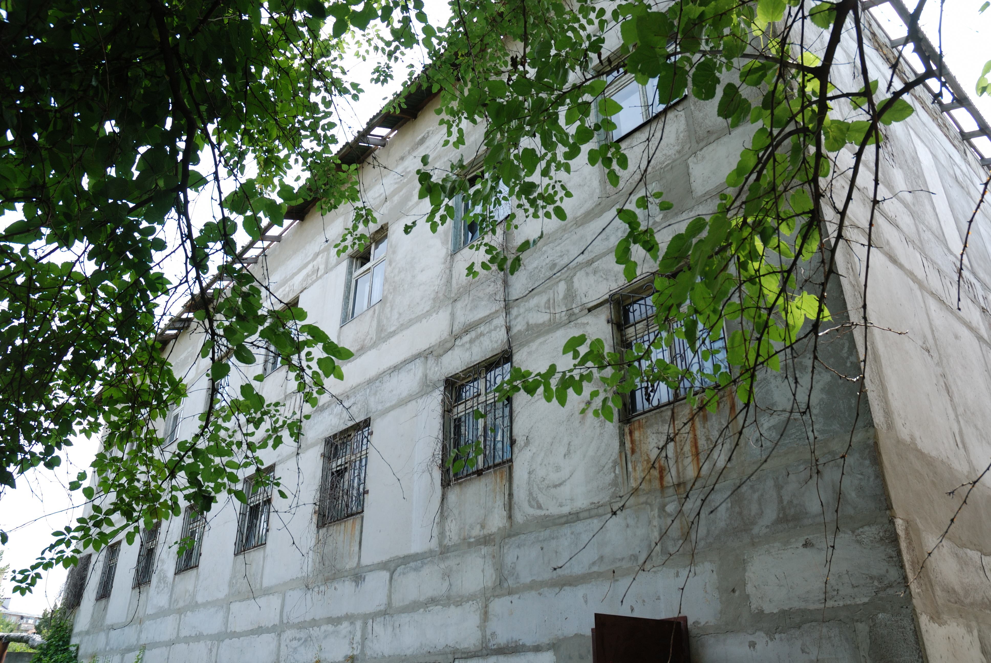DSC_2532_00005.jpg